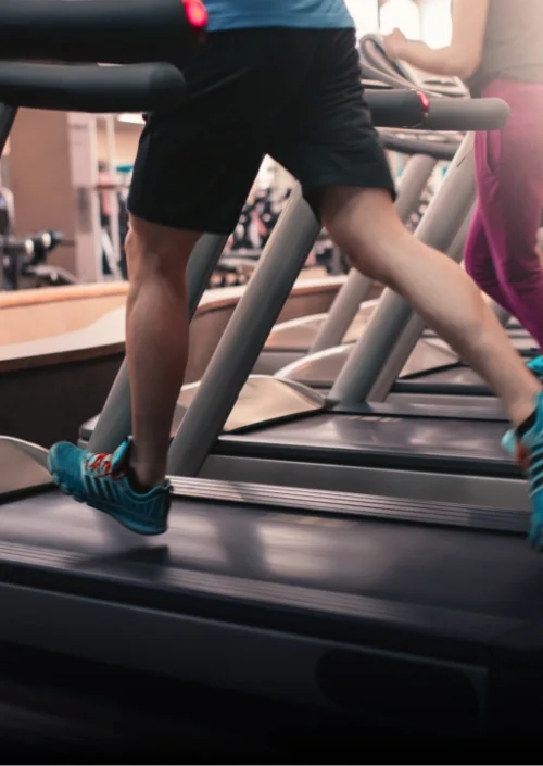 Fitness