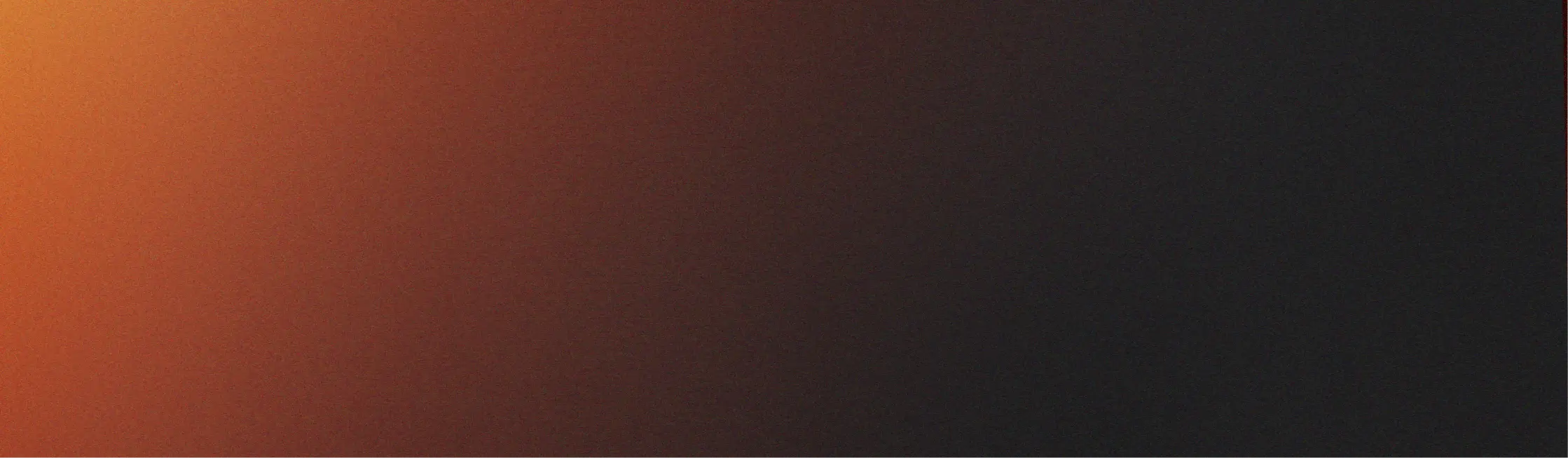 Banner Image | TO THE NEW