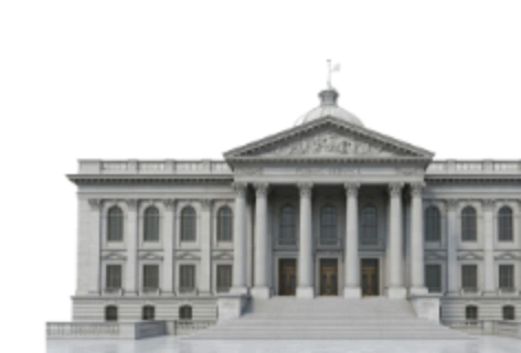 government