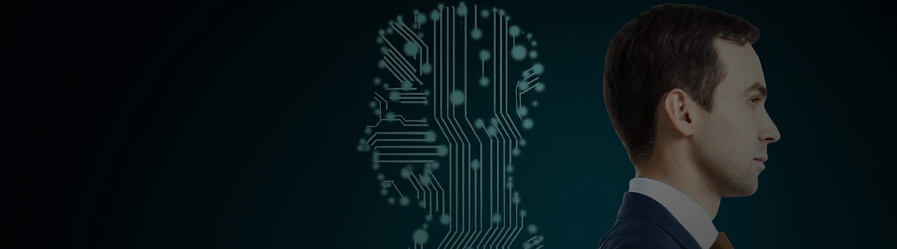 Insights Banner