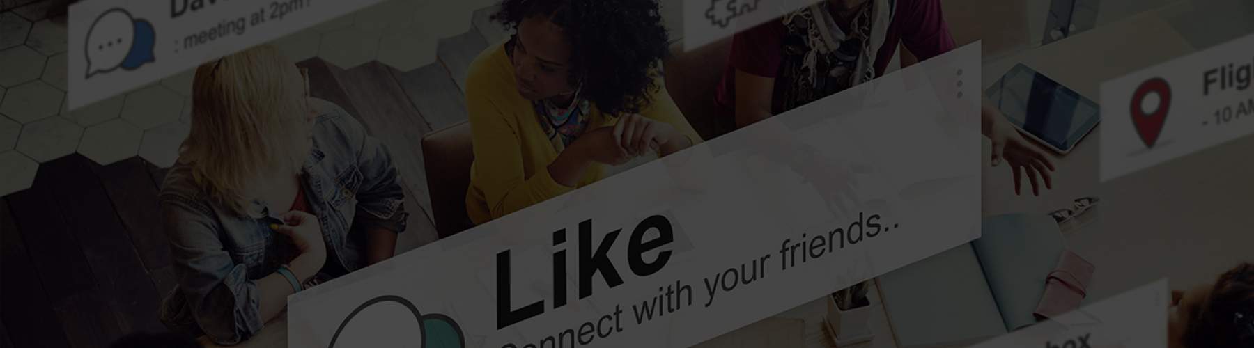 Insights Banner