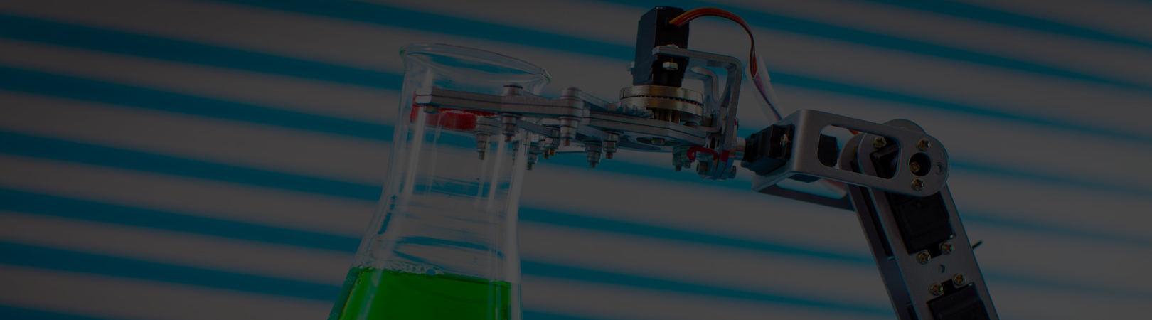 Insights Banner